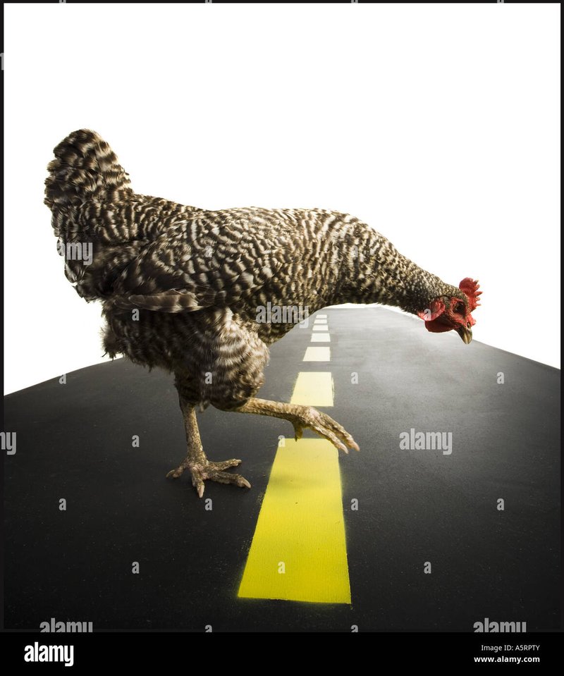 Avontuur op de Chicken Road: Spelen, Winnen en Plezier in Nederland - overview